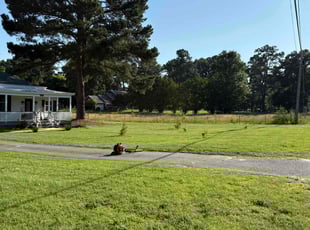 Greg D.'s turf care service result