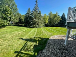 Derrick W.'s lawn maintenance service result