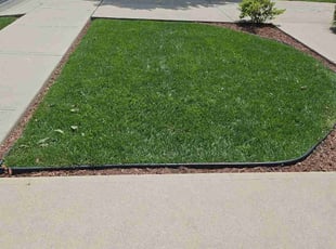 Marvin M.'s grass maintenance service result