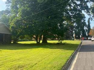 David S.'s lawn care services service result