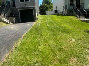 Jennifer V.'s grass maintenance service result