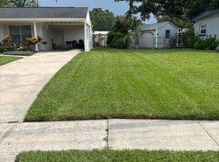 Debi M.'s grass cutting service result