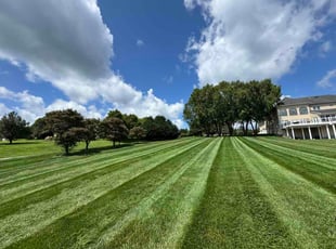 Laura B.'s lawn maintenance service result