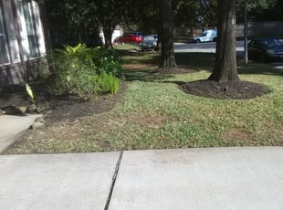 Tabitha N.'s Leaf Removal service result