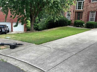 Amela S.'s yard work service result