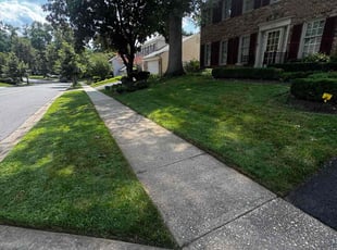 Mike G.'s lawn service service result