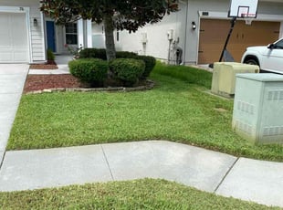 Dorothy M.'s turf maintenance service result