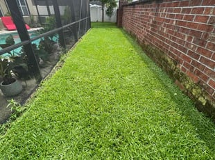 Grant M.'s lawn maintenance service result
