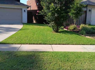 Daniel M.'s lawn maintenance service result