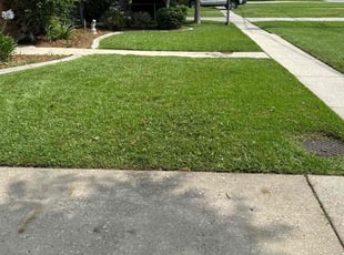 Lauri B.'s grass cutting service result