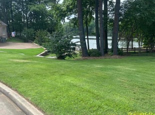 Kimberly C.'s lawn maintenance service result