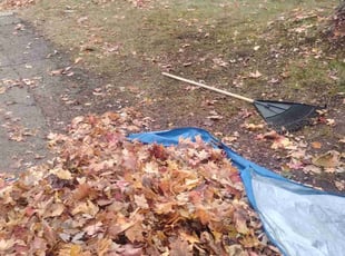 Richard G.'s Leaf Removal service result