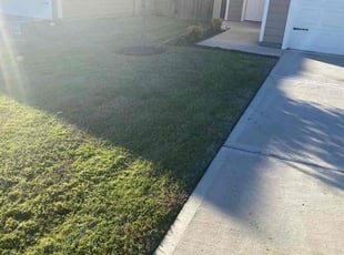 Simone M.'s lawn care services service result