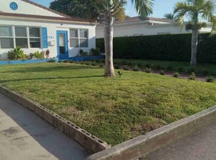Maritza T.'s lawn service service result