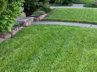 Laura S.'s grass maintenance service result