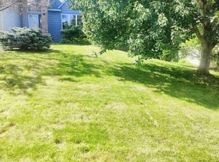 Christine K.'s grass cutting service result