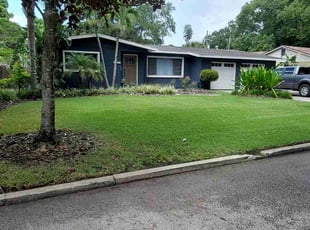 Christi D.'s turf care service result