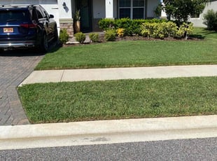 Christopher G.'s turf maintenance service result