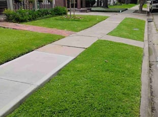 Alejandro W.'s grass cutting service result