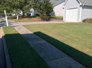 Lindsay L.'s grass maintenance service result