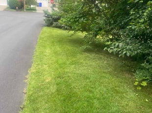 Don V.'s grass maintenance service result