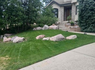 Beth M.'s lawn maintenance service result