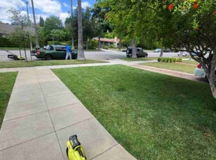 Oteria J.'s lawn maintenance service result