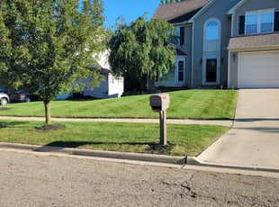 Jamison M.'s turf care service result