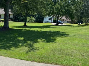 Joseph C.'s yard service service result