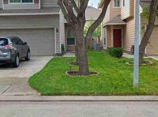PJ M.'s Long Grass Cleanup service result
