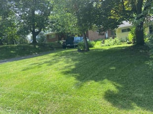 Annette G.'s lawn care service result