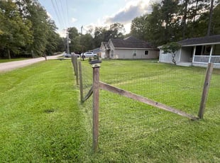 Fred D.'s turf maintenance service result