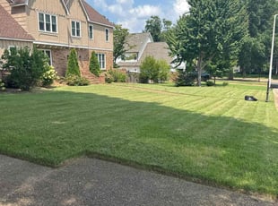 Tom S.'s lawn care services service result