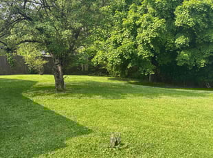 Sheikh K.'s lawn service service result