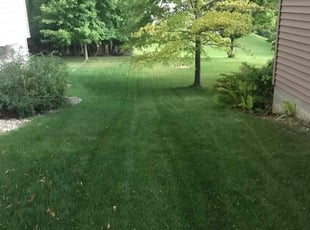Dustin H.'s turf care service result