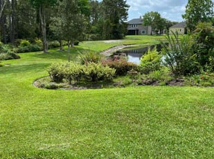 Reginald O.'s grass maintenance service result