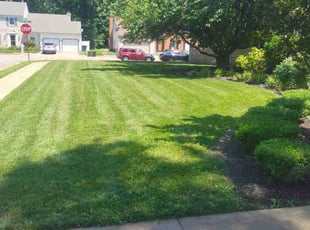 Delesha W.'s lawn care services service result
