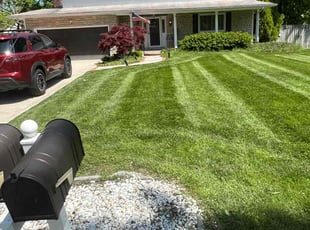 Kimberly L.'s lawn care service result
