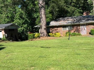 Jakia J.'s turf care service result