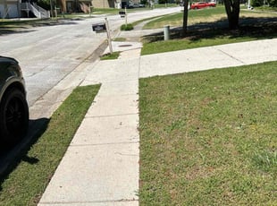 Lakeshia H.'s lawn maintenance service result