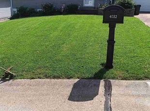Debbie N.'s lawn care services service result