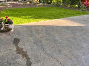 Robert S.'s turf maintenance service result