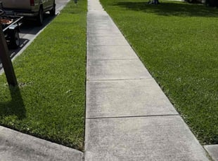 Massiel R.'s lawn maintenance service result