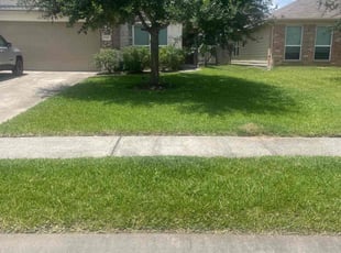 Tyler B.'s turf care service result