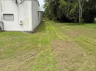 Tim G.'s lawn care services service result