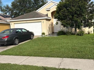 Michael Y.'s turf care service result