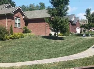 Elizabeth B.'s grass maintenance service result