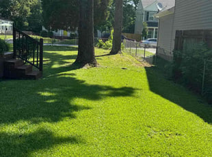 Robert M.'s grass cutting service result