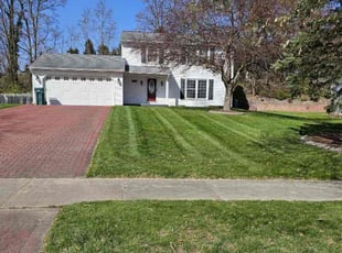 Ken K.'s turf care service result