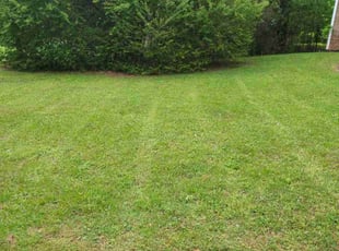 Brian C.'s landscaping services service result